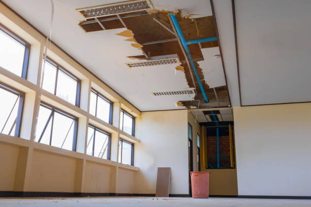 Best Mold removal after water damage  in Wolfforth, TX
