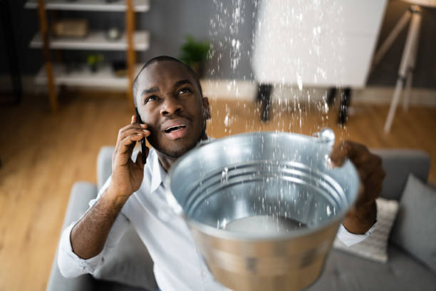 Best Professional water damage repair  in Wolfforth, TX