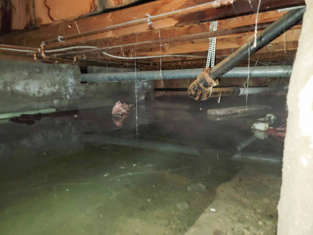 Best Water damage restoration near me  in Wolfforth, TX