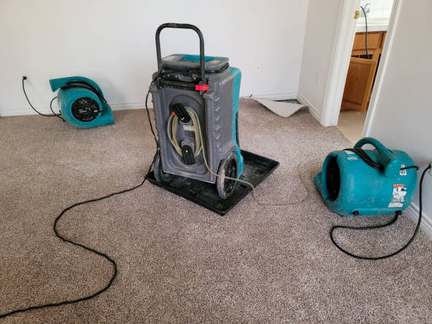 Best 24-hour water damage restoration  in Wolfforth, TX