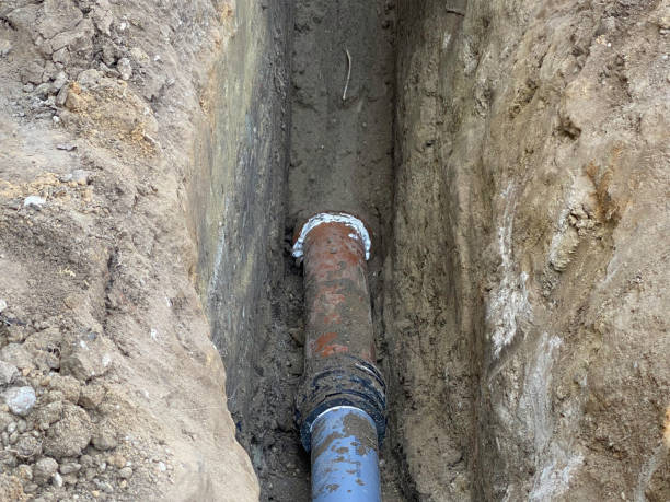 Best Flood damage cleanup  in Wolfforth, TX
