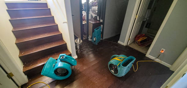 Best Ceiling water damage repair  in Wolfforth, TX