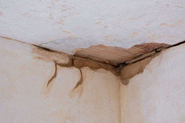 Best Residential water damage restoration  in Wolfforth, TX