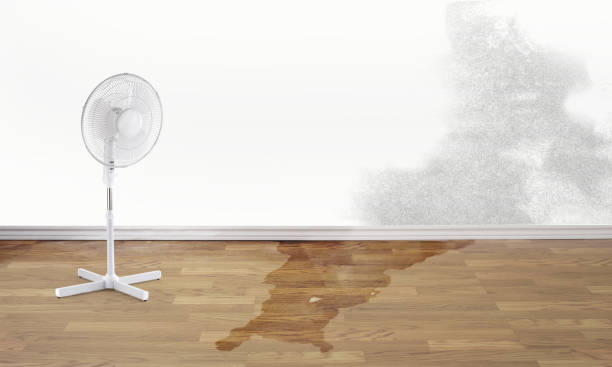 Best Emergency water damage restoration  in Wolfforth, TX