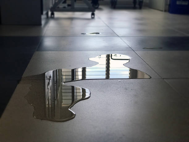 Best Water damage restoration experts  in Wolfforth, TX