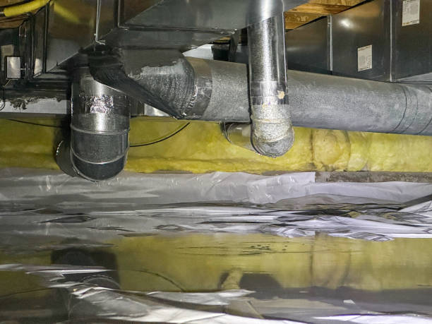 Best Flood restoration services  in Wolfforth, TX