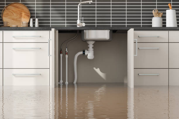 Best Professional water damage repair  in Wolfforth, TX