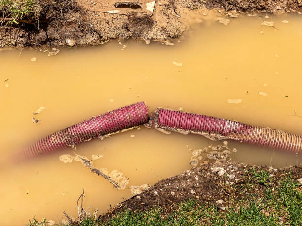 Best Residential water damage restoration  in Wolfforth, TX